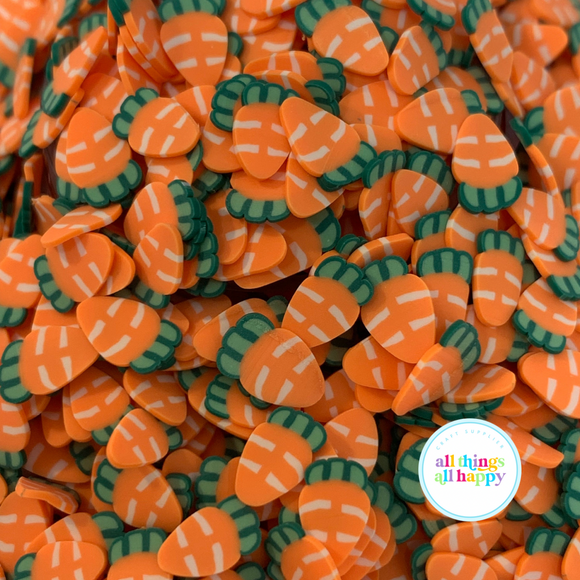 Carrot Polymer Clay Slices
